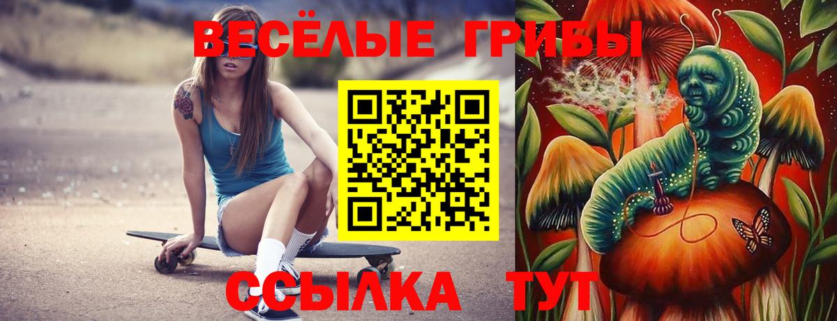 Псилоцибиновые грибы Cubensis Лангепас