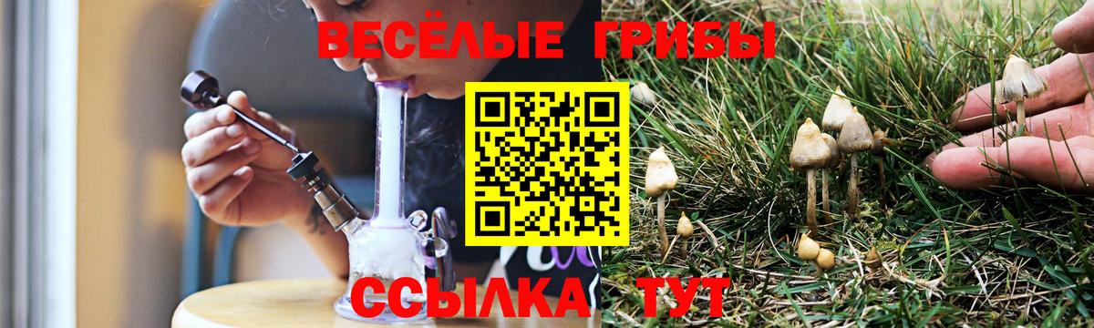 Лангепас  продажа наркотиков  Вход с VPN  Псилоцибиновые грибы Cubensis 